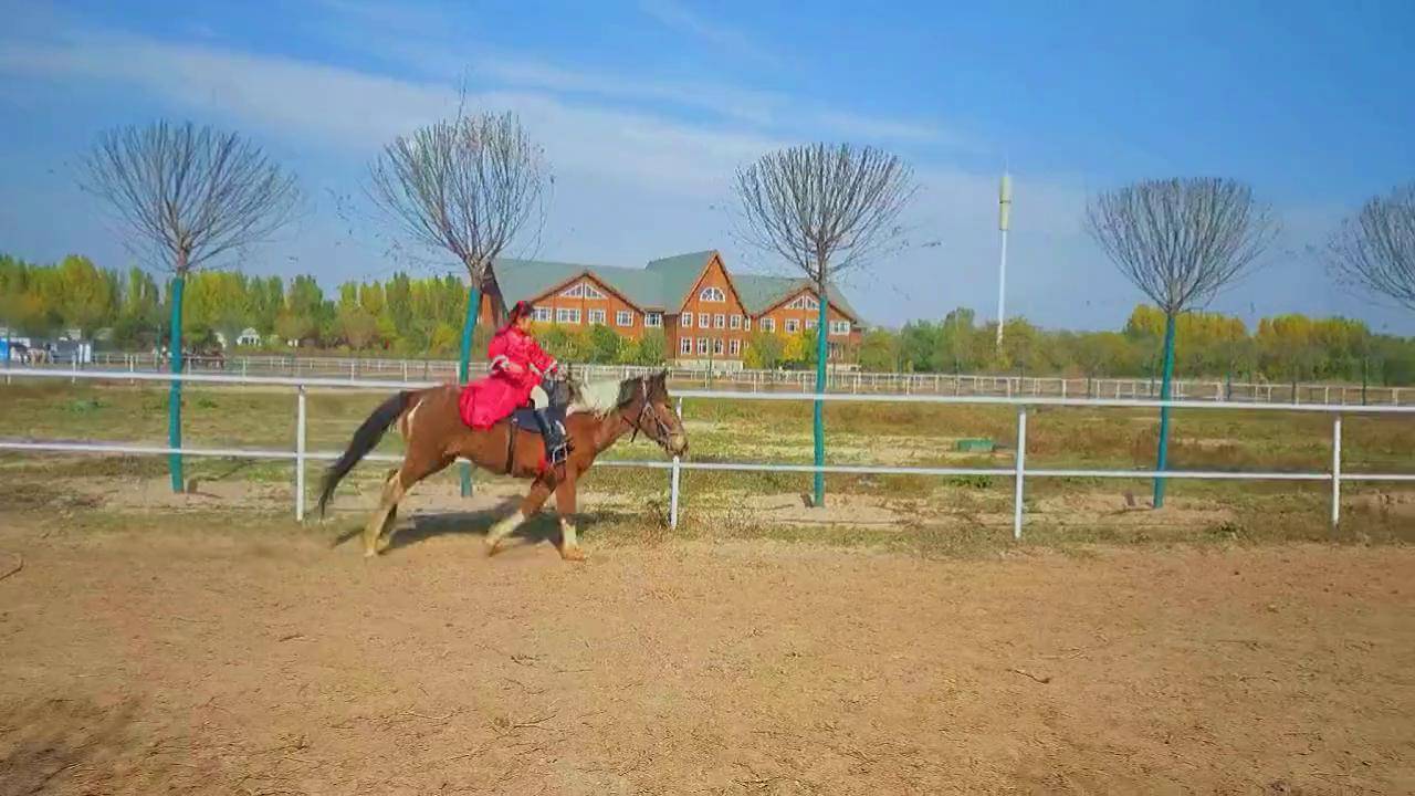 杏彩体育app下载-马术比赛选手与坐骑默契合作获胜